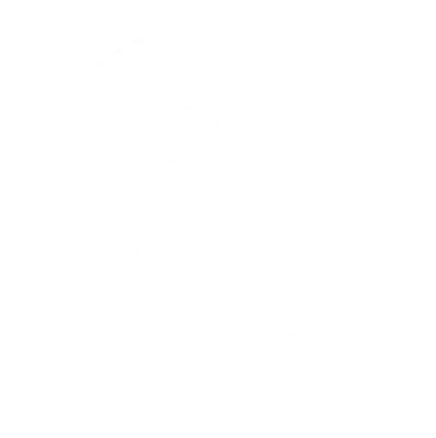 Pelita Mas
