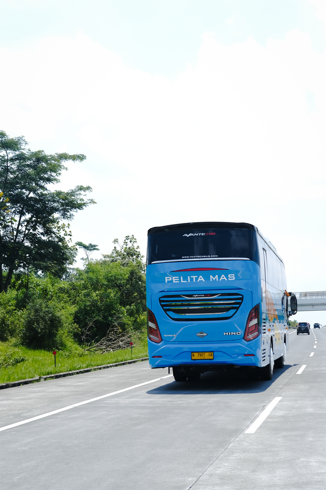 pelita mas